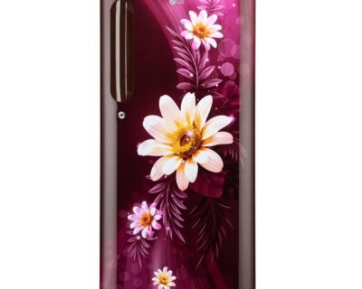 190_Liter Single Door Refrigerator | LG