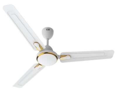 Ceiling Fan | CG