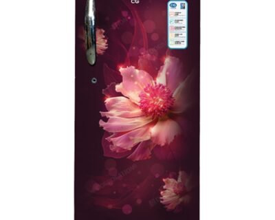 175_Liter Single Door Refrigerator | CG