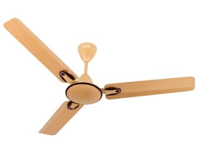 Ceiling Fan | CG