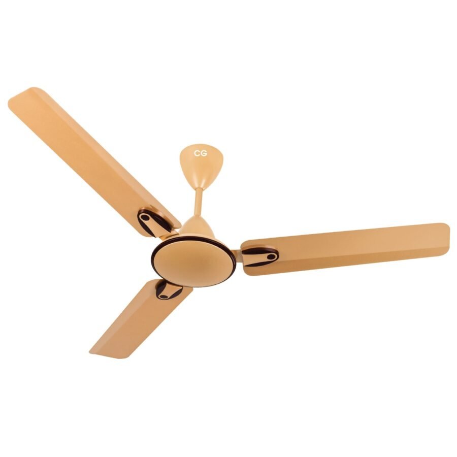 Ceiling Fan | CG