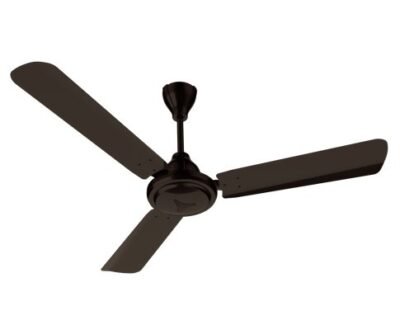 Ceiling Fan | CG
