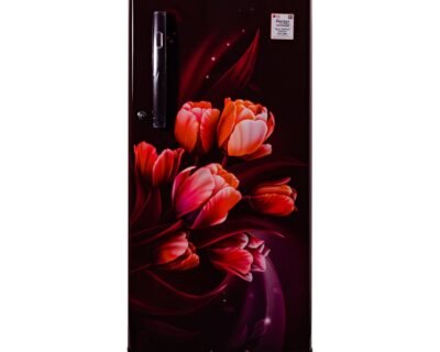 190_Liter Single Door Refrigerator | LG