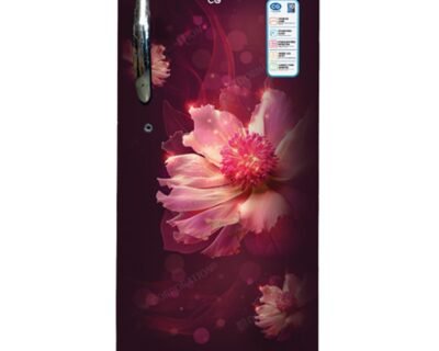 190_Liter Single Door Refrigerator | CG