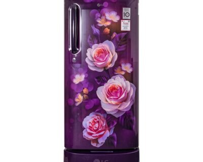 190_Liter Single Door Refrigerator | LG