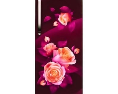 205 Liter Single Door Refrigerator | CG