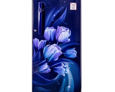 190_Liter Single Door Refrigerator | LG