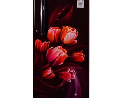 190_Liter Single Door Refrigerator | LG