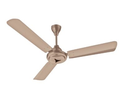 Ceiling Fan | CG