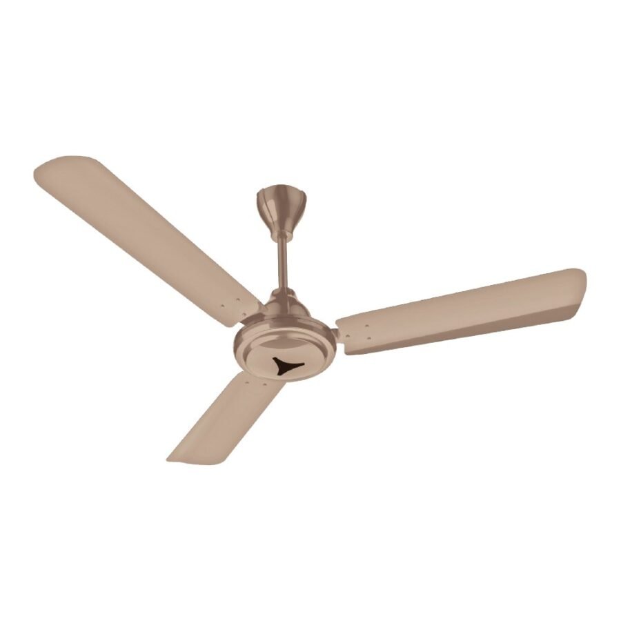 Ceiling Fan | CG