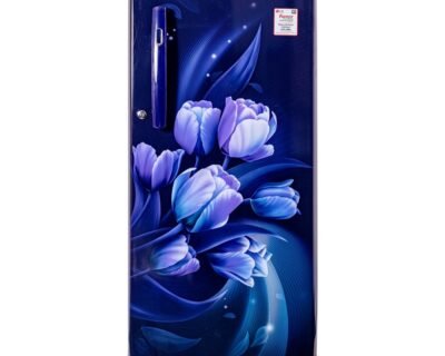 190_Liter Single Door Refrigerator | LG