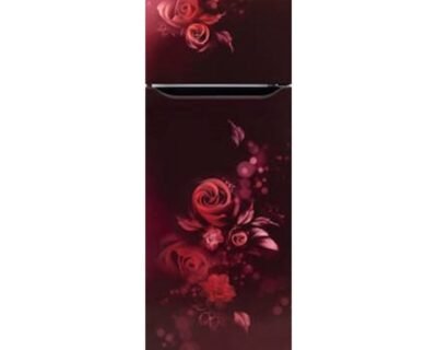 287_Liter Double Door Refrigerator | LG